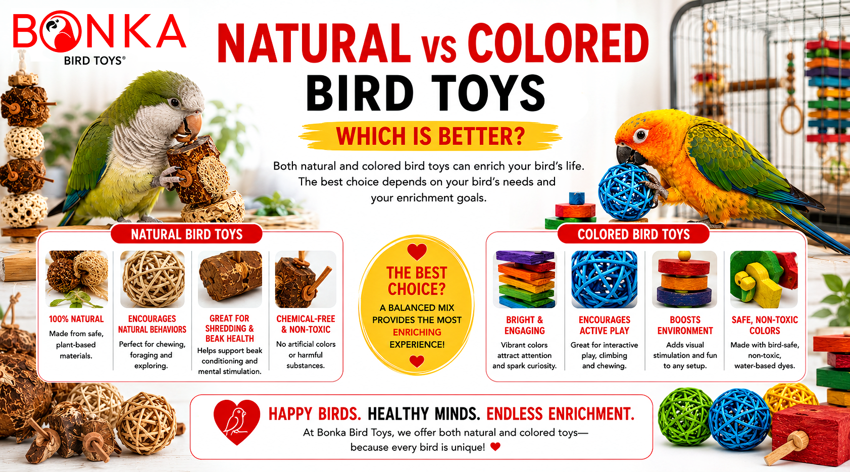 Natural vs Colored Bird Toys: Which Is Better?