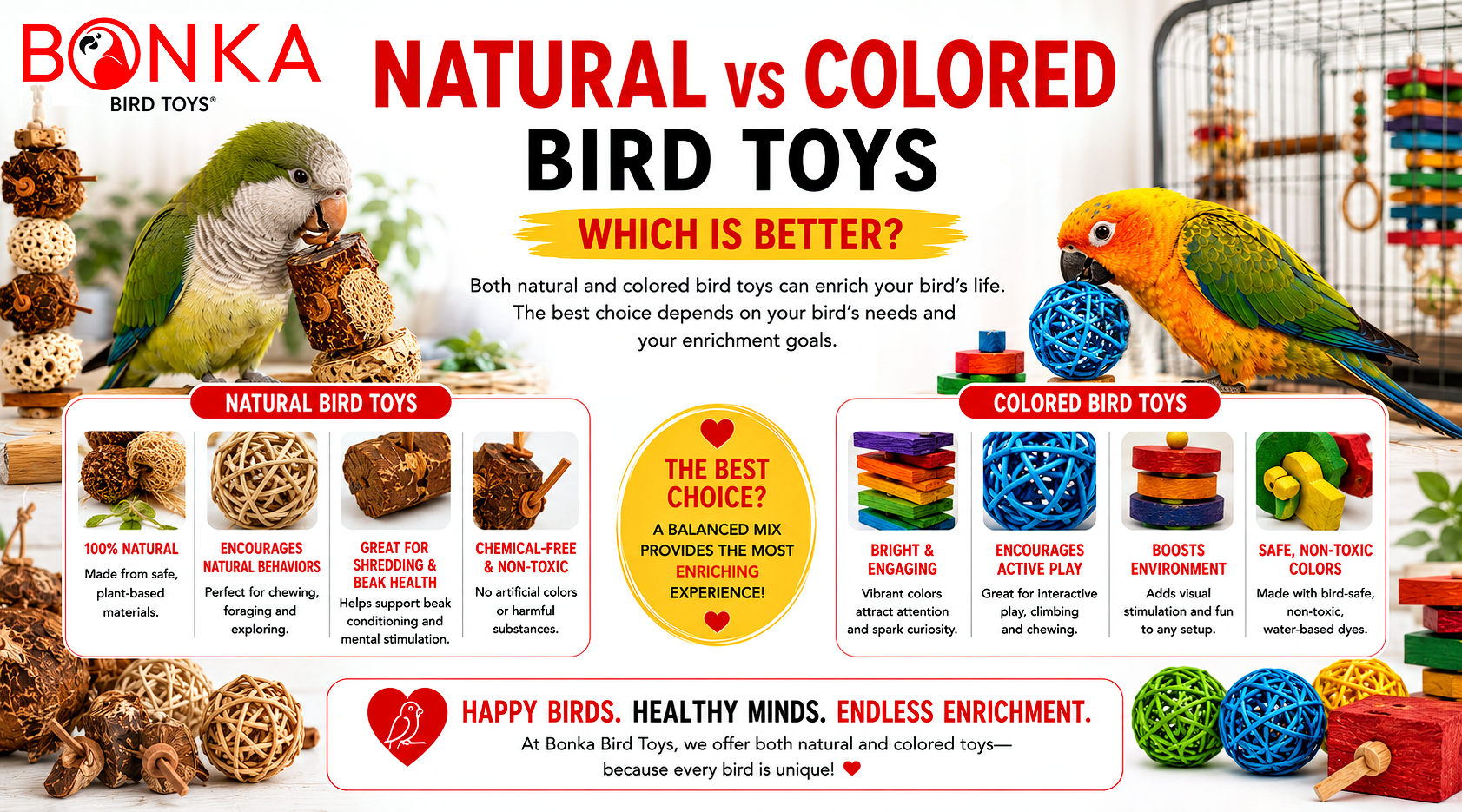 Natural vs Colored Bird Toys: Which Is Better?