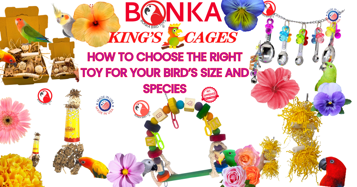 Bird toy selection by size and species featuring colorful toys and accessories for your pet birds.