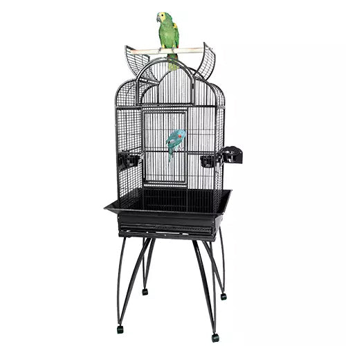Kings Cages SLT4 2217 The Right Cage For My Cockatiel?