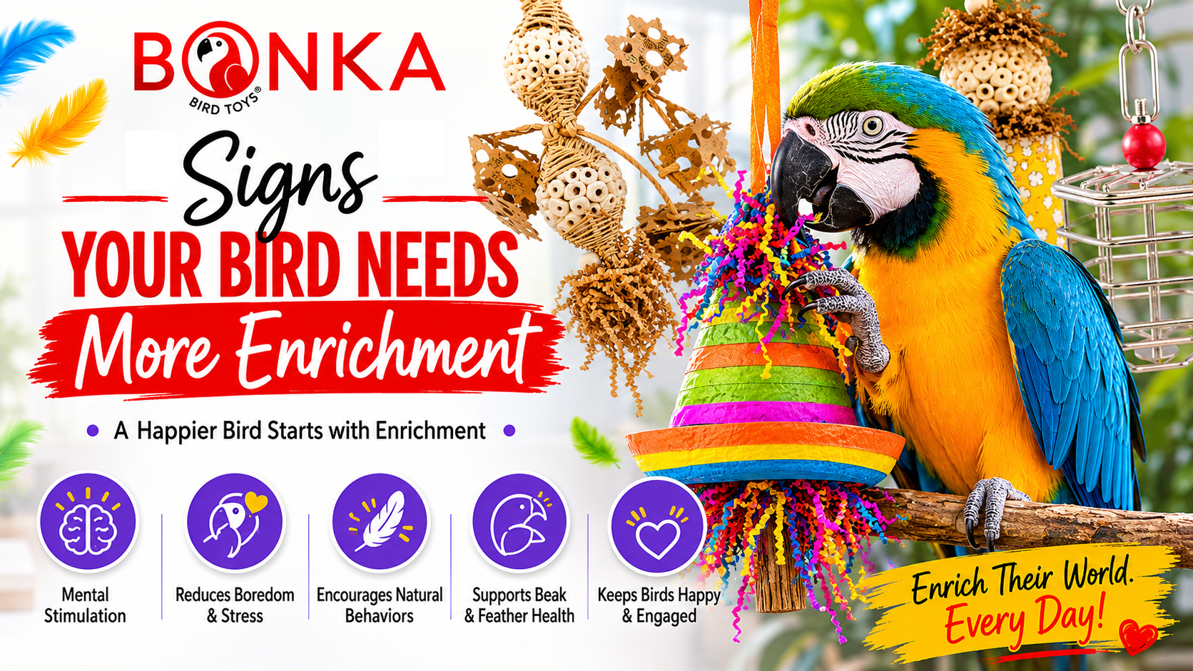 Signs Your Bird Needs More Enrichment