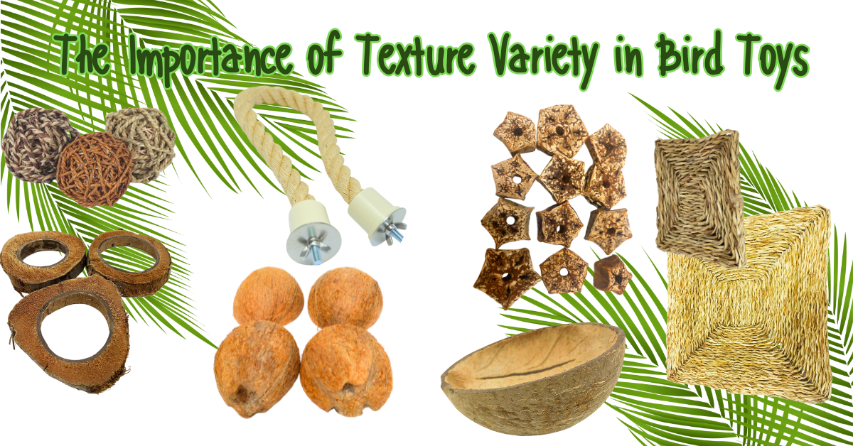 The Importance of Texture Variety in Bird Toys showcasing diverse textures including ropes, natural fibers, and toys for mental stimulation.