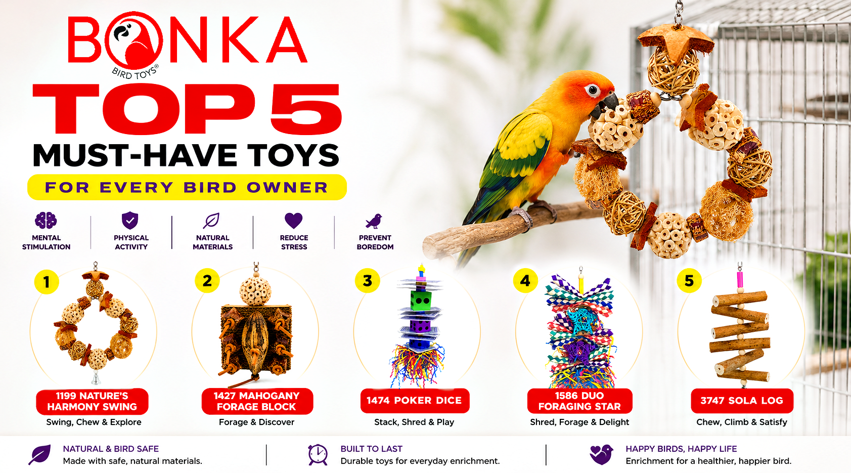 Top 5 Must-Have Toys for Every Bird Owner showcased with colorful toys and a bird enjoying playtime.