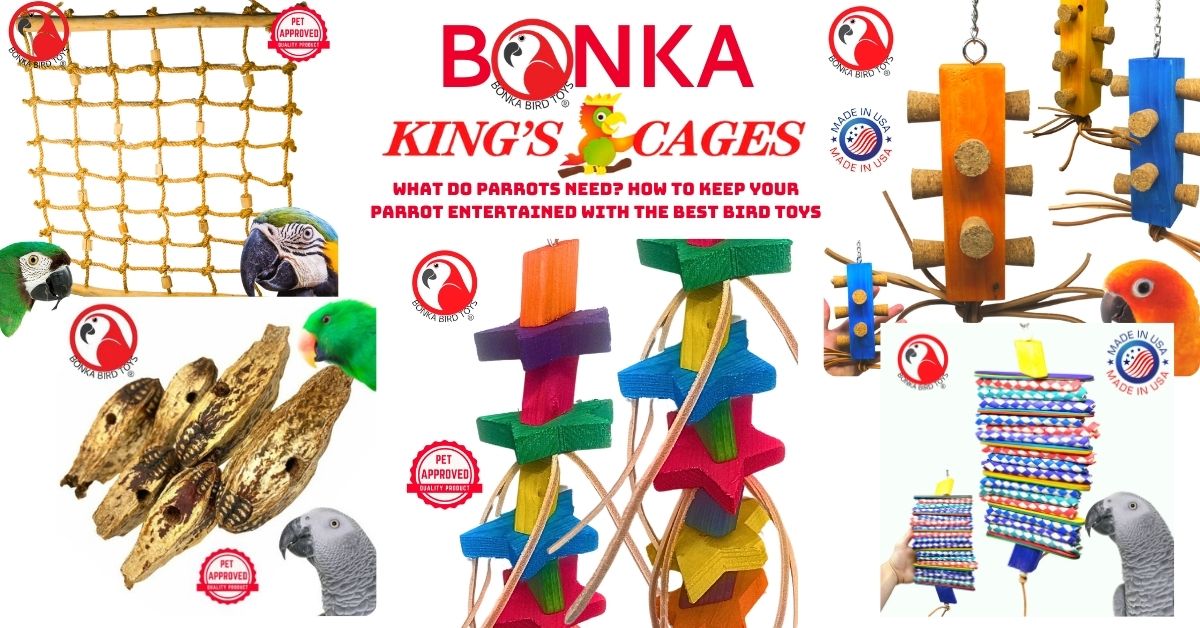 Variety of colorful bird toys showcasing the best bird toys for parrots, designed to keep your parrot entertained.
