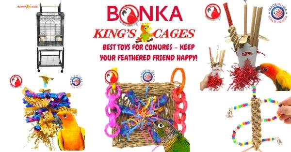 Best Toys for Conures – Keep Your Feathered Friend Happy!