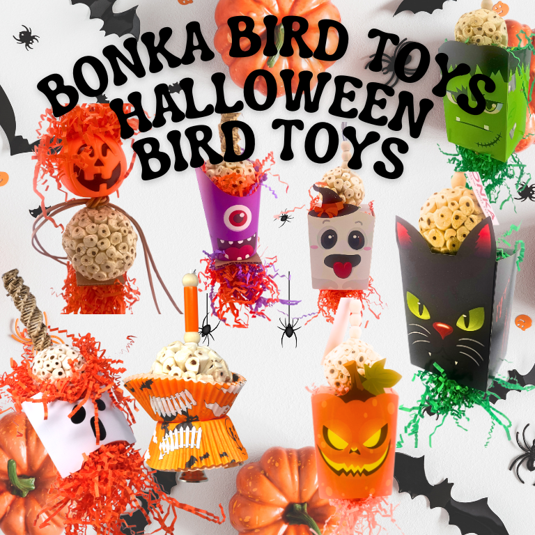 Top Halloween-Themed Bird Toys for 2024