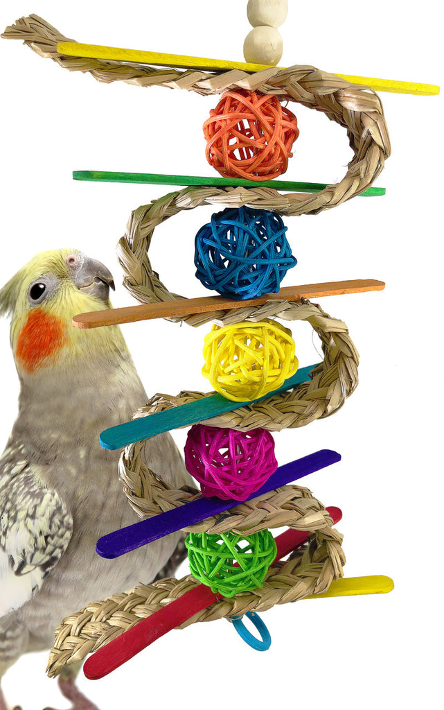 What are the Best Toys for Cockatiels?