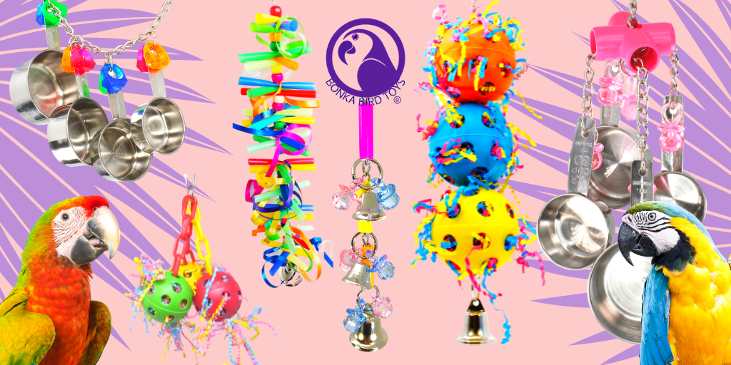 What are the Best Bonka Bird Toys?