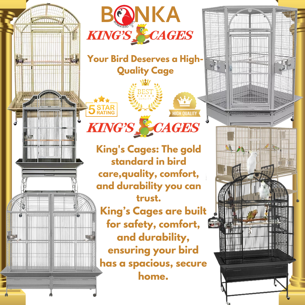 best bird cages by King's Cages showcase quality and durability for your avian friends.