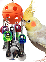 Cockatiel playing with a medium spoon bird toy featuring colorful hanging parts and an orange ball.