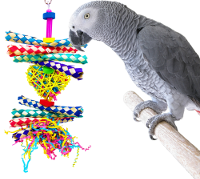 Best bird toys Bonka interactive toy for parrots, a colorful engagement for your pet.