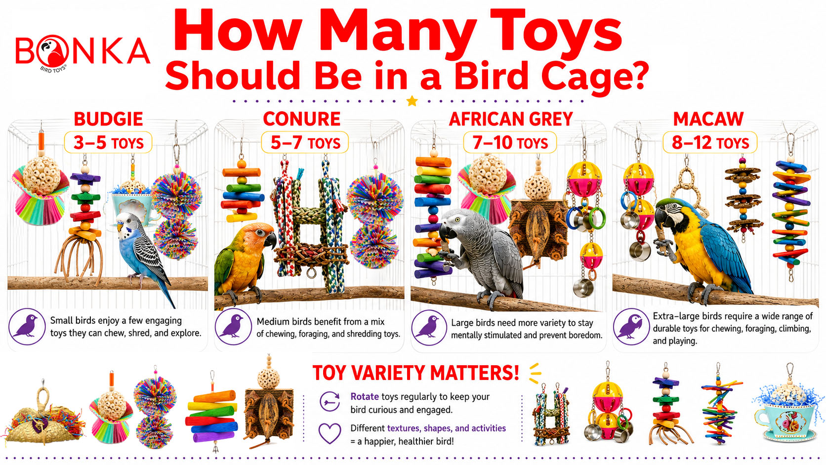 How Many Toys Should Be in a Bird Cage? chart showing toy recommendations for different bird species.