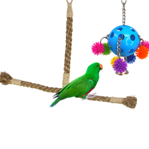 What perches are good for parrots? bonka bird toys