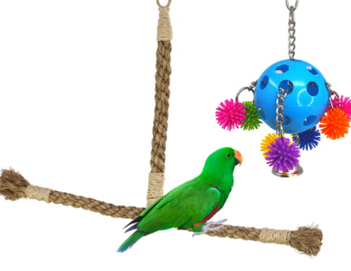 What perches are good for parrots? bonka bird toys