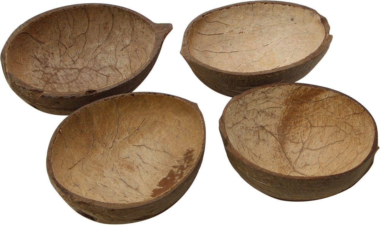 Do Pet Birds Like Natural Coconut Shells?