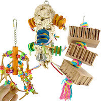 What are great parrot toys for pet birds?