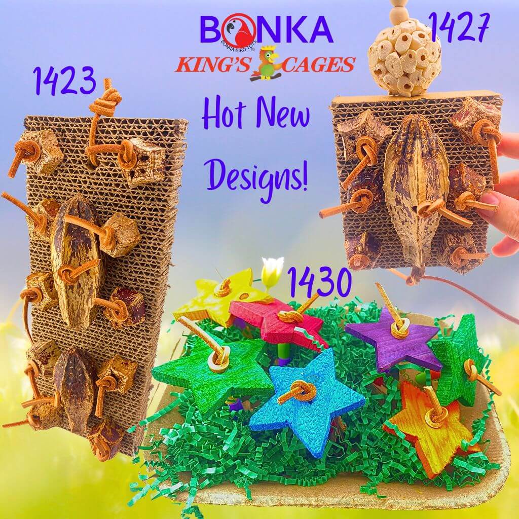 2025 bird foraging chew toys displayed on a colorful background, showcasing fun and engaging designs.