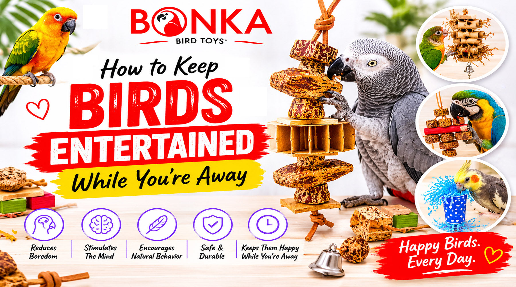 How to Keep Birds Entertained While You’re Away