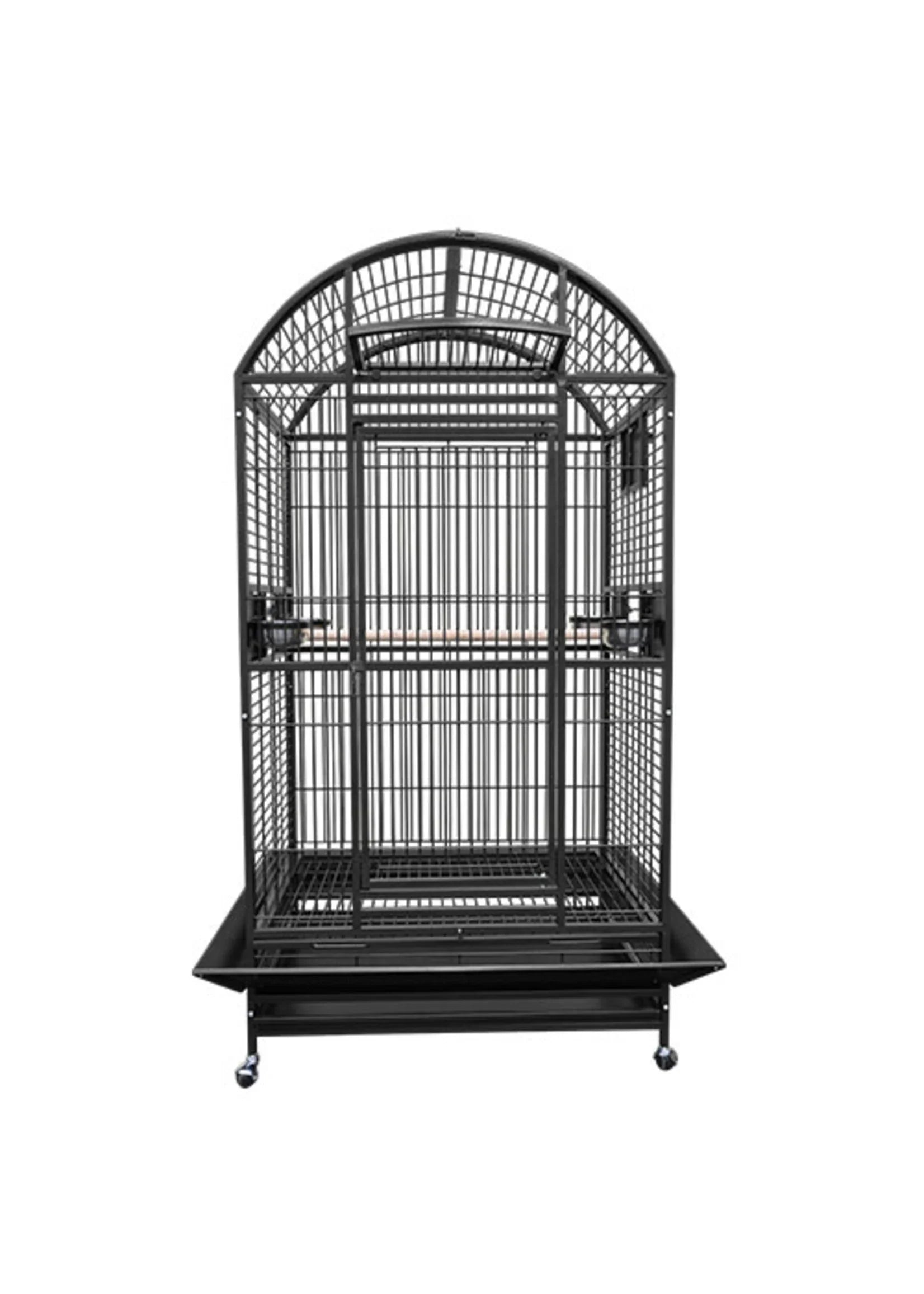 Eclectus Parrot Be Happy in the Kings Cages 9003628 Cage?
