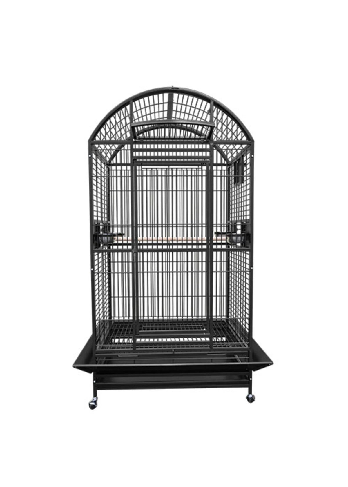 Eclectus Parrot Be Happy in the Kings Cages 9003628 Cage?