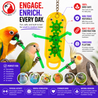 0044 Small Gearhead - Bonka Bird Toys