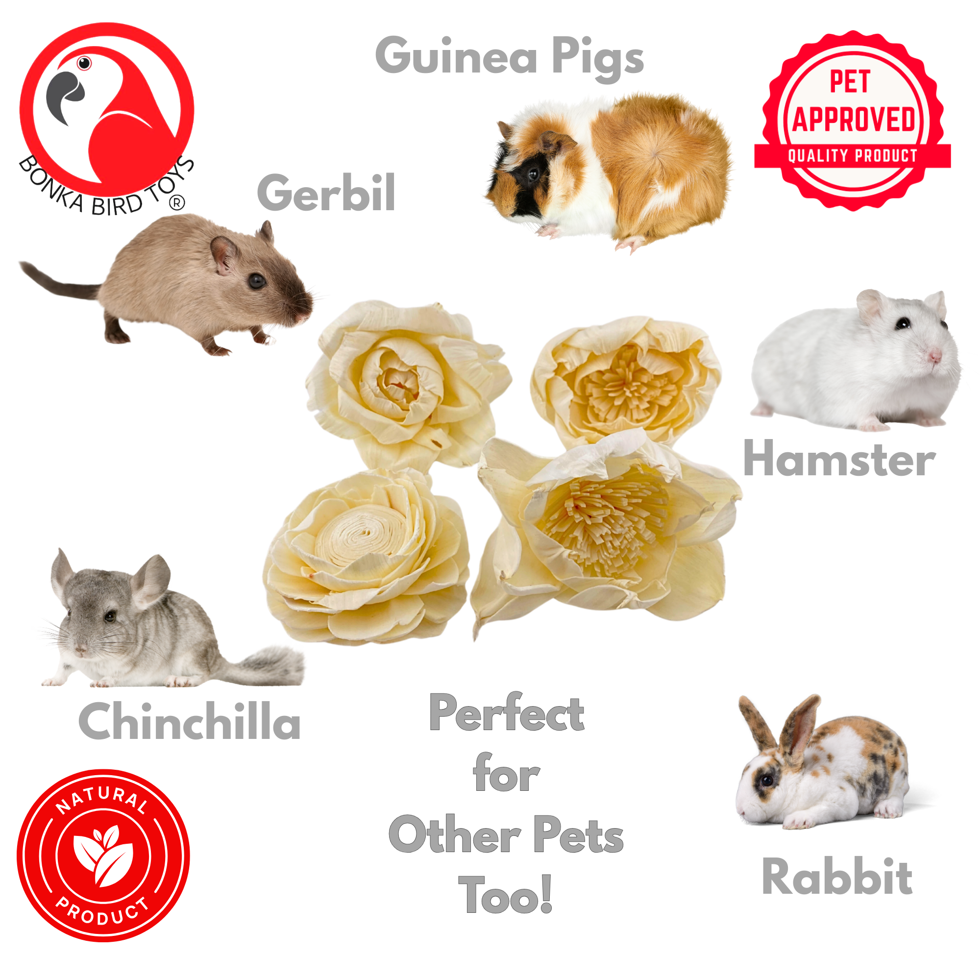 1169 Pk4 Large Sola Atta 3-4" Flowers - Bonka Bird Toys