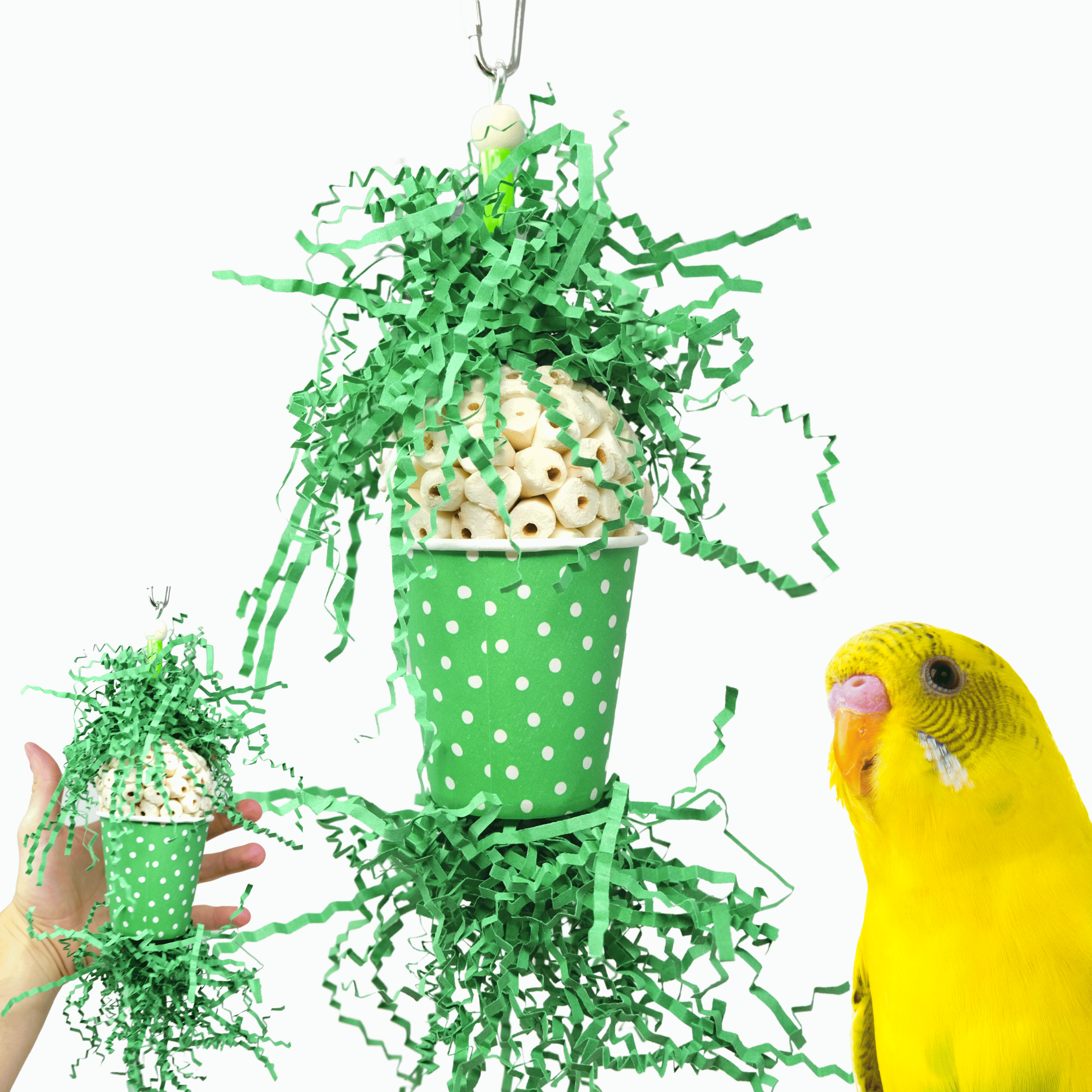 Spotty Sola Foraging Bird Toy - Bonka Bird Toys