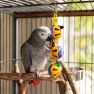 African Grey parrot playing with colorful plastic ball bird toy featuring beads and chains inside cage