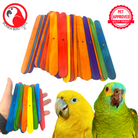 Pk100 Big Colored Wooden Chewy Sticks - Bonka Bird Toys