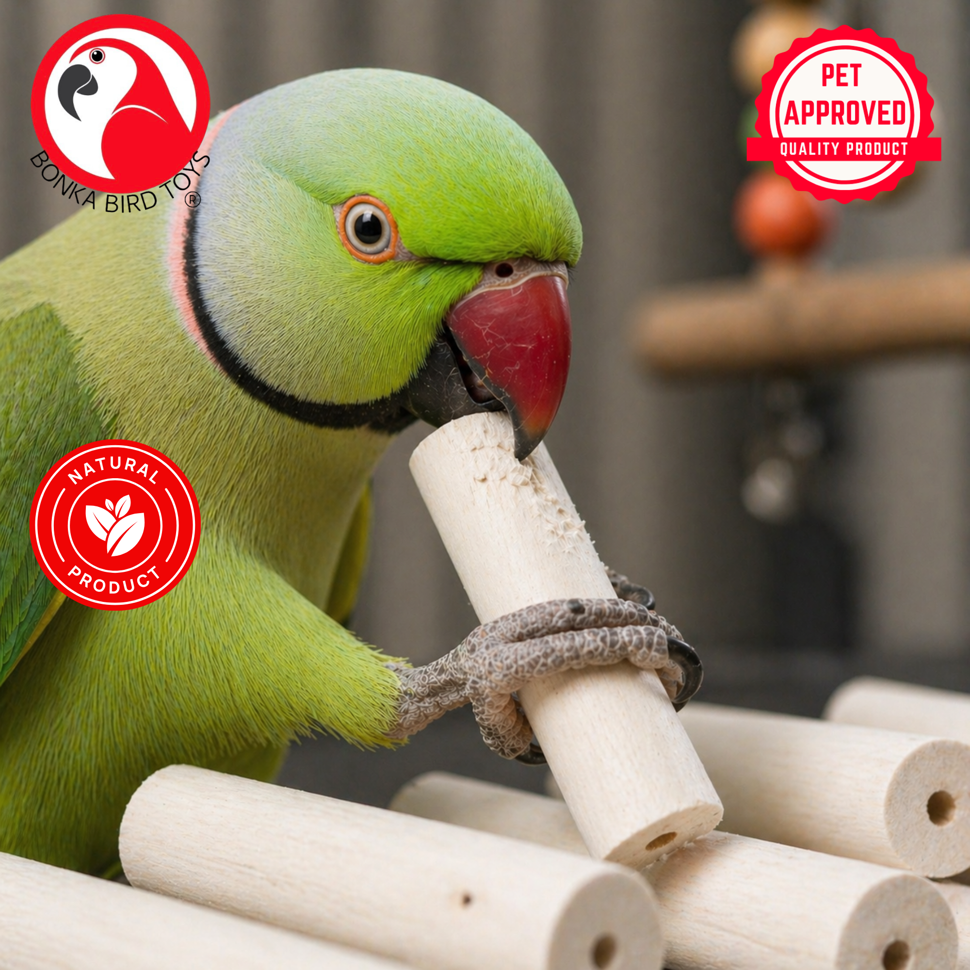 1288 Pk6 Natural Sola Sticks without Bark - Bonka Bird Toys