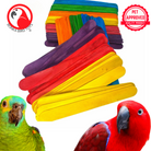 Pk100 Big Colored Wooden Chewy Sticks - Bonka Bird Toys