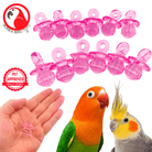 Crystal Cut Pk12 Pacifiers - Bonka Bird Toys
