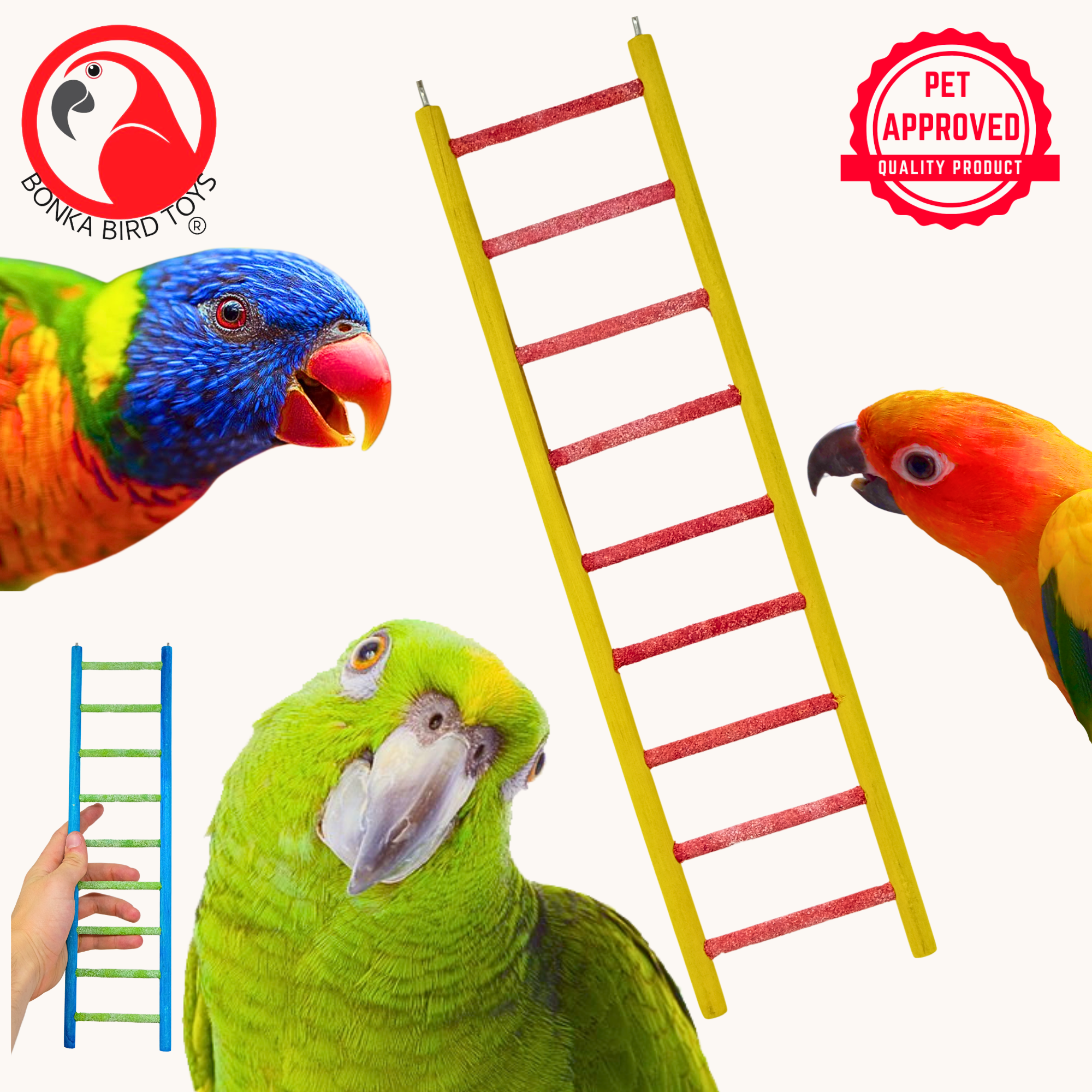 30803 Medium 14" Pedi-Ladder - Bonka Bird Toys