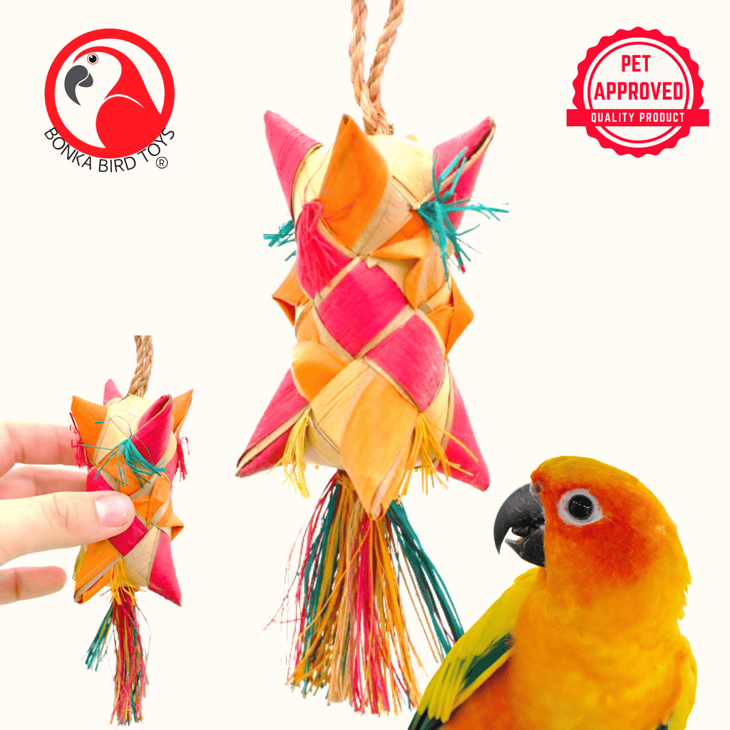 03422 Small Carnival - Bonka Bird Toys