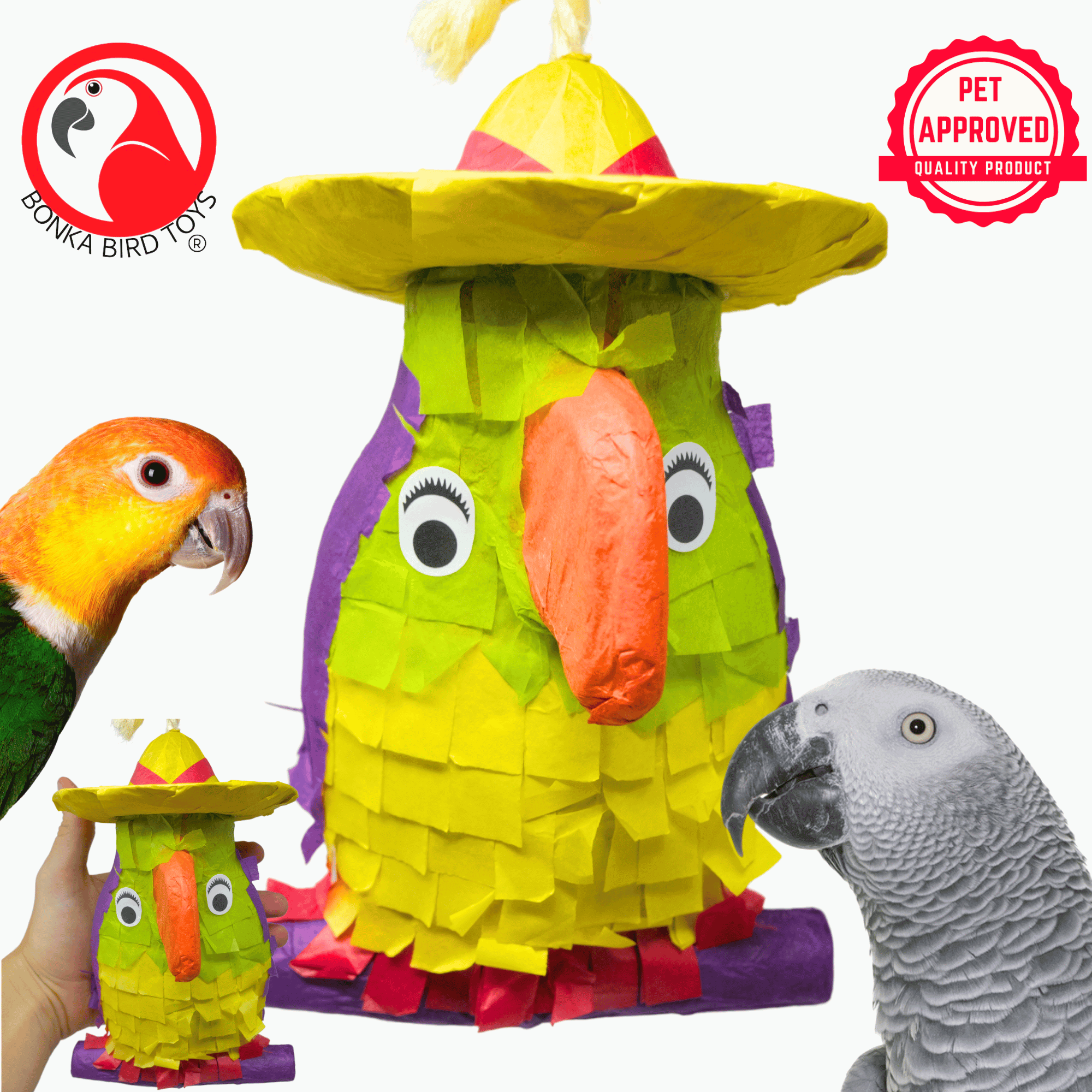 Parrot pinata hot sale