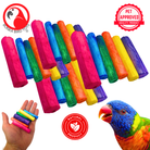 2935 Pk24 Mini Colored Sola Sticks - Bonka Bird Toys