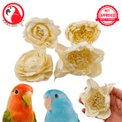 1169 Pk4 Large Sola Atta 3-4" Flowers - Bonka Bird Toys