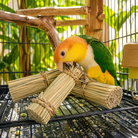 Parrot chewing natural bamboo bird toy with rope bindings inside cage