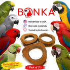 Coconut shell parrot toy rings for chewing and shredding, natural bird-safe enrichment, pack of 3