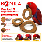 Red parrot chewing large natural coconut slice bird toy for shredding and foraging enrichment