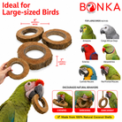 Natural coconut shell bird toy rings for large parrots, encouraging chewing, shredding, and enrichment
