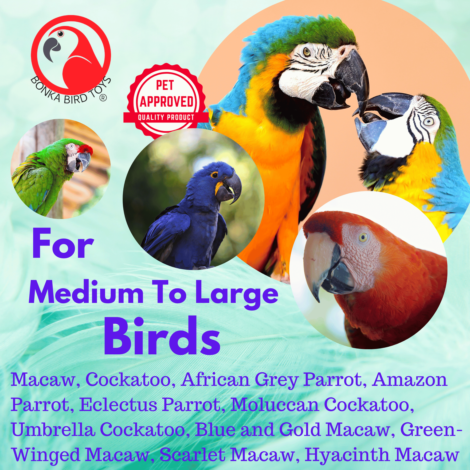 Large bird toys clearance for macaws