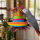2198 Pinata Hat - Bonka Bird Toys
