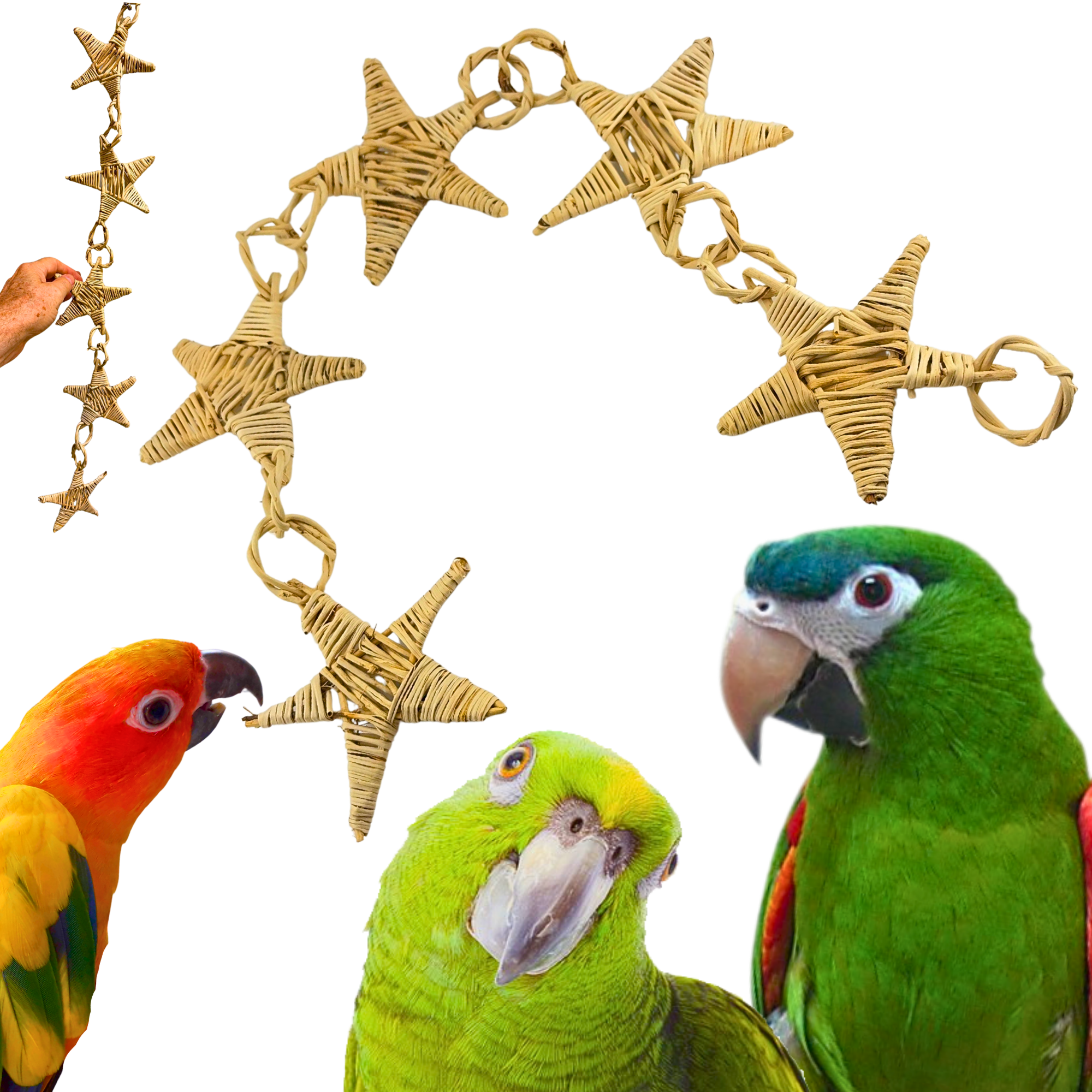 3374 Natural Vine Star Chain - Bonka Bird Toys