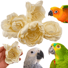 1169 Pk4 Large Sola Atta 3-4" Flowers - Bonka Bird Toys