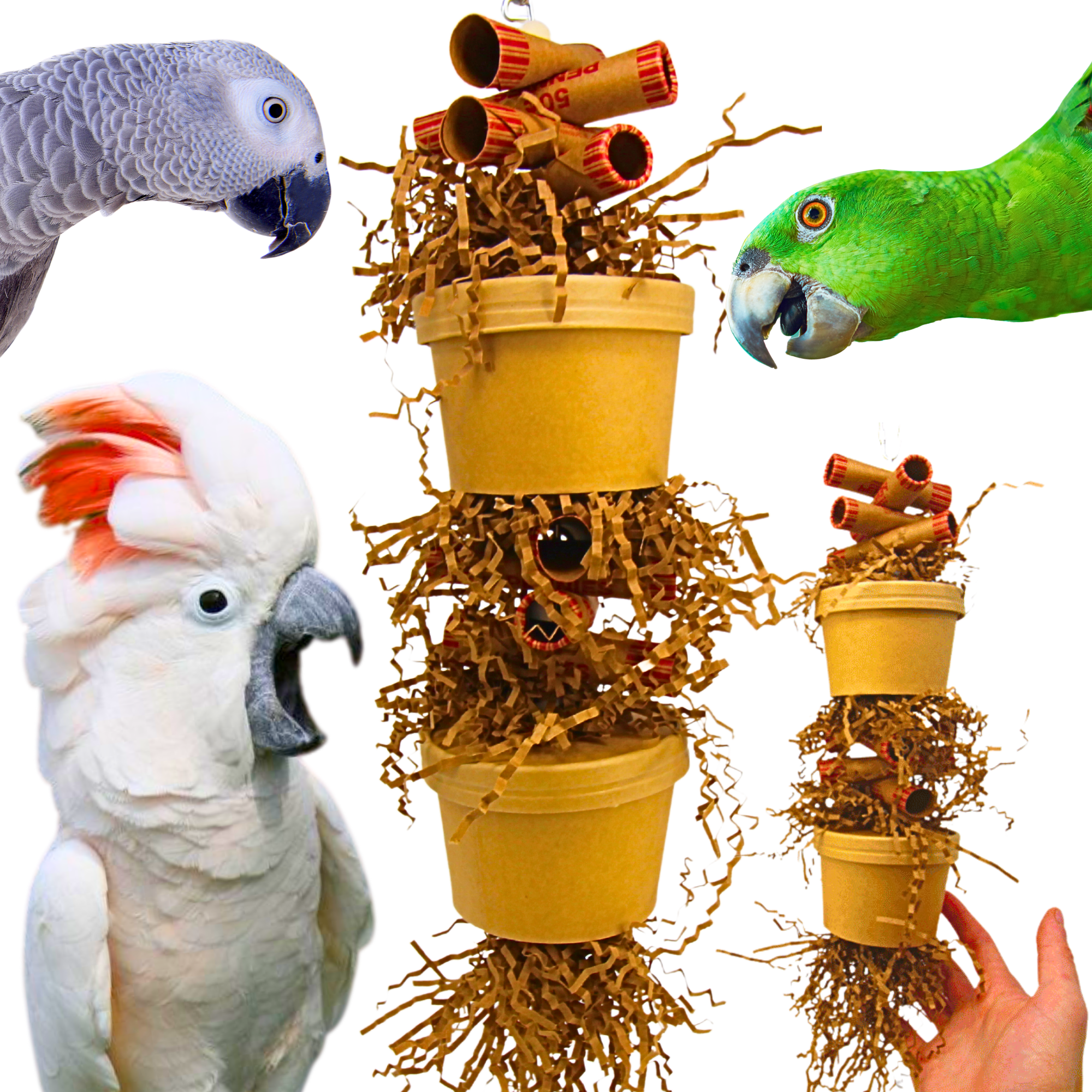 3867 Duo Money Pot - Bonka Bird Toys
