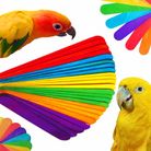 Pk100 Big Colored Wooden Chewy Sticks - Bonka Bird Toys