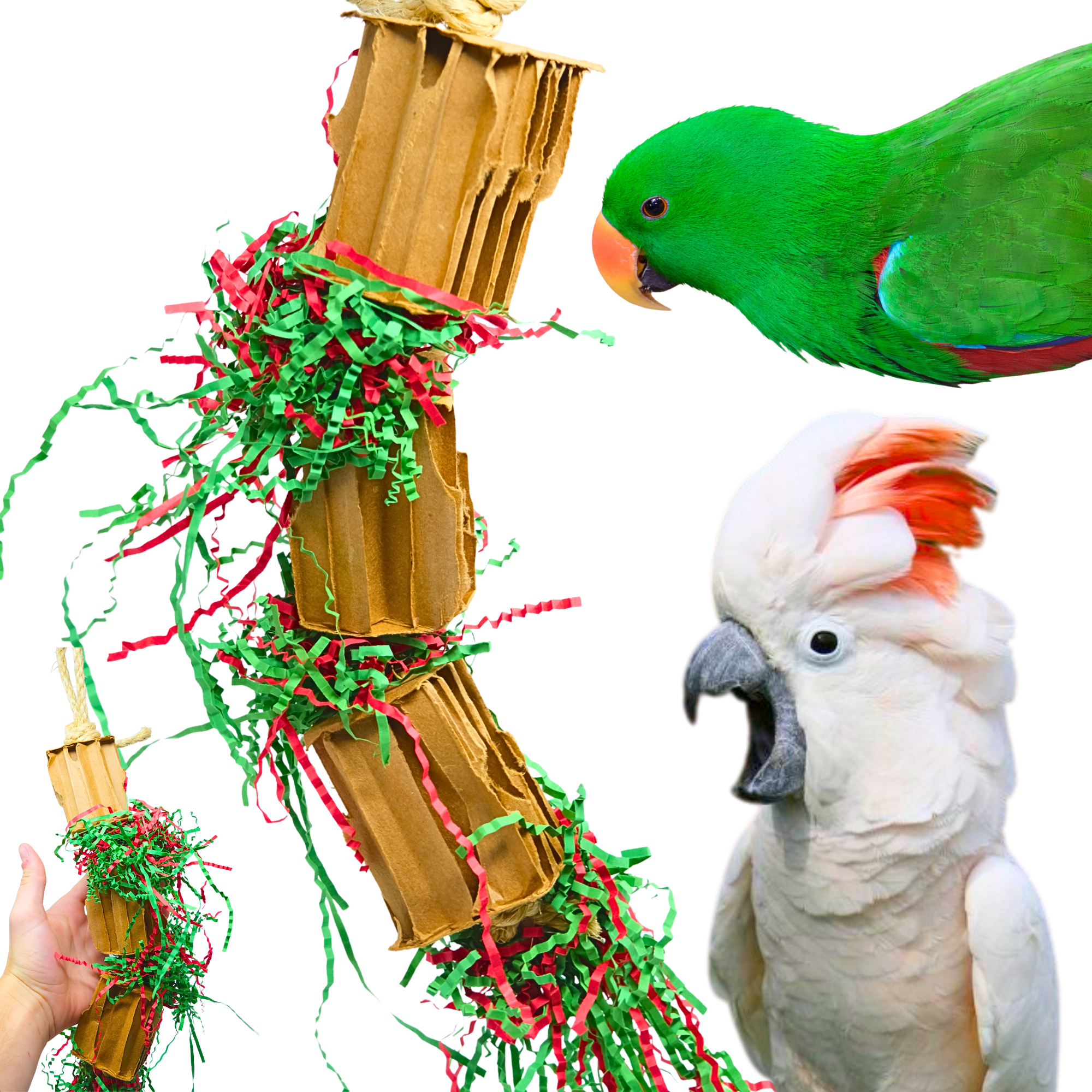 3831 Medium Gift Box - Bonka Bird Toys