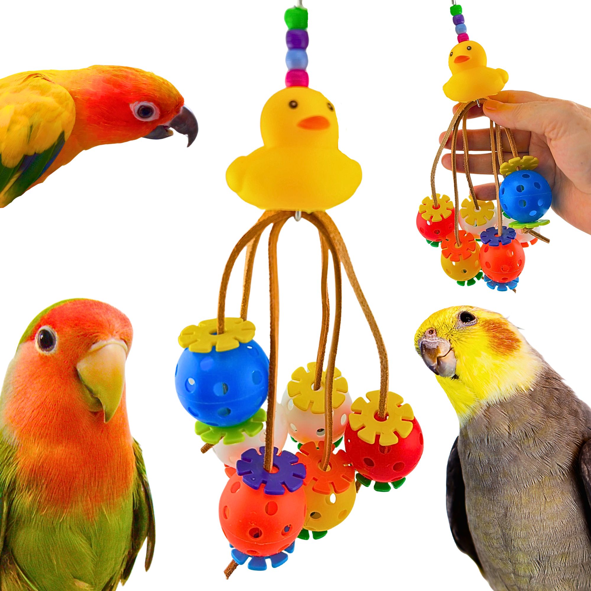 2325 Ducky Spyder - Bonka Bird Toys