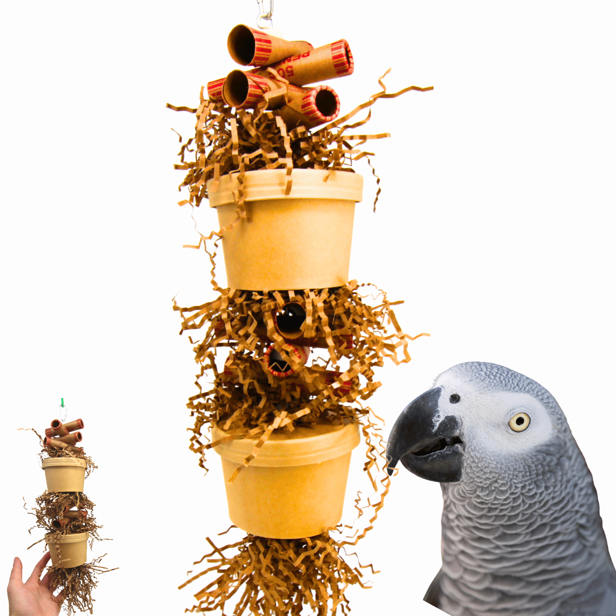 3867 Duo Money Pot - Bonka Bird Toys